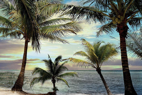 Honduras Sunset Black Ornate Wood Framed Art Print with Double Matting by Carpentieri, Natalie