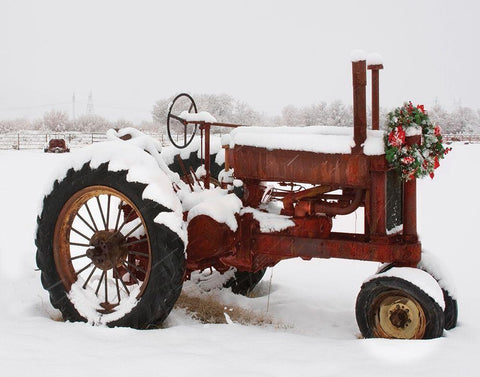 Christmas Tractor White Modern Wood Framed Art Print with Double Matting by Delimont, Danita