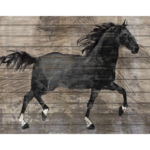 Barnwood Horse Black Modern Wood Framed Art Print with Double Matting by Knutsen, Conrad