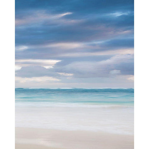 Bavaro Beach at Black Modern Wood Framed Art Print with Double Matting by Delimont, Danita