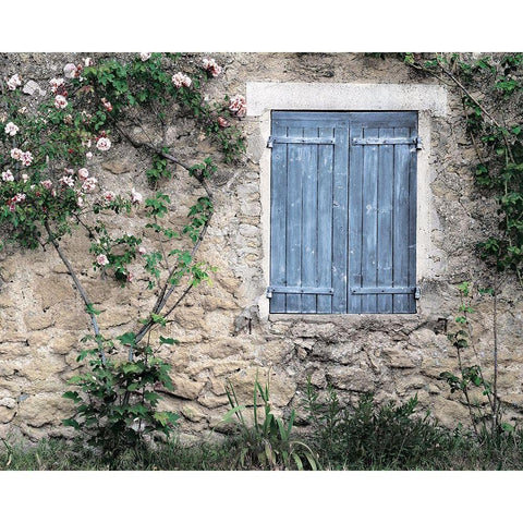 Roses In Black Modern Wood Framed Art Print by Delimont, Danita