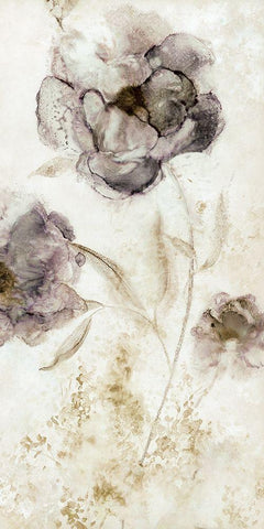 Dawn Peony White Modern Wood Framed Art Print with Double Matting by Robinson, Carol