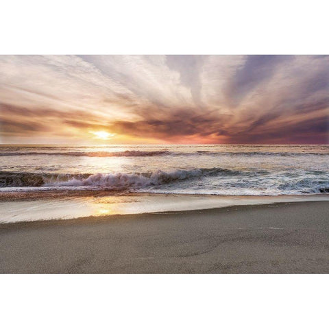 Point Reyes White Modern Wood Framed Art Print by Delimont, Danita