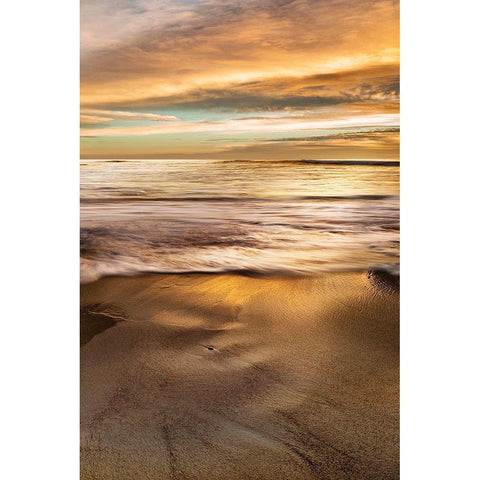 Windansea Gold Ornate Wood Framed Art Print with Double Matting by Delimont, Danita