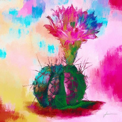 Desert Bloom I Black Modern Wood Framed Art Print with Double Matting by Burghardt, James