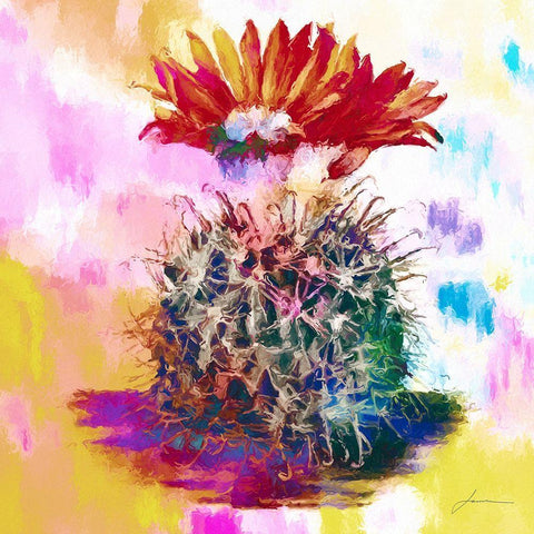 Desert Bloom White Modern Wood Framed Art Print with Double Matting by Burghardt, James