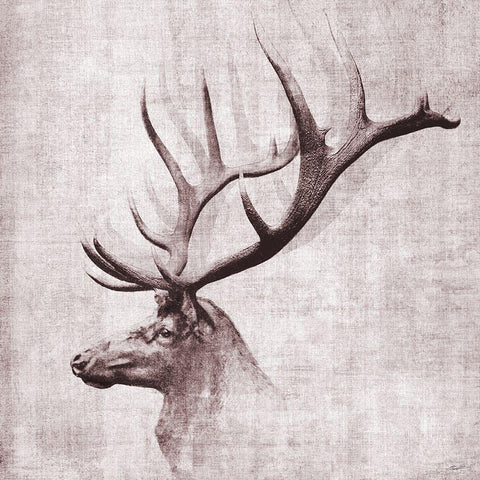 Open Range II Gold Ornate Wood Framed Art Print with Double Matting by Butler, John