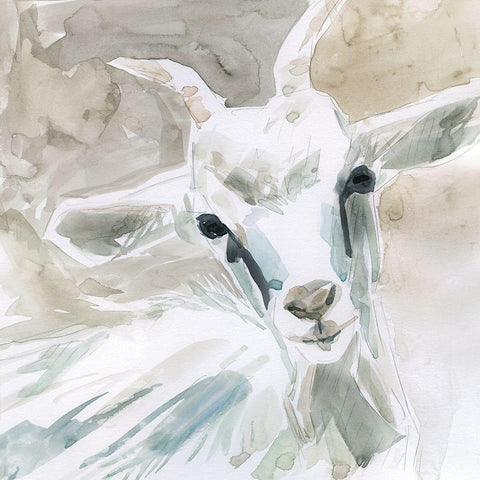 Bill E. Goat White Modern Wood Framed Art Print with Double Matting by Robinson, Carol