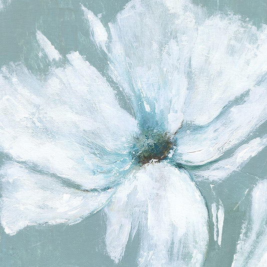 Image Only