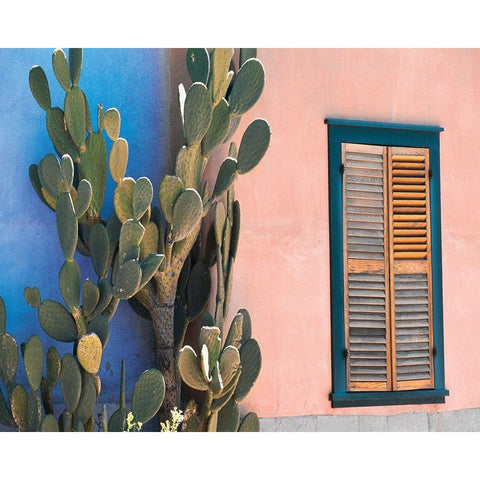 Cactus Profile Black Modern Wood Framed Art Print with Double Matting by Delimont, Danita