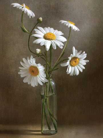Still Life I White Modern Wood Framed Art Print with Double Matting by Disher, Mandy
