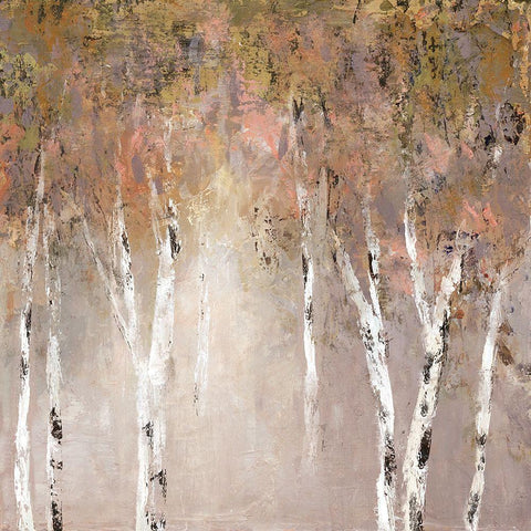 Sunlit Birch I Black Modern Wood Framed Art Print with Double Matting by Robinson, Carol