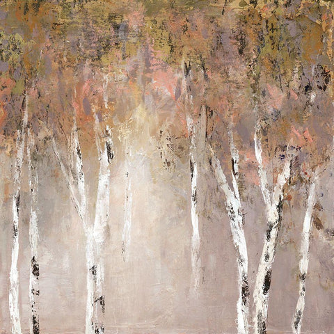 Sunlit Birch I White Modern Wood Framed Art Print with Double Matting by Robinson, Carol