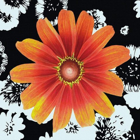 Black and Bloom Black Ornate Wood Framed Art Print with Double Matting by Burghardt, James