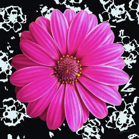 Black and Bloom White Modern Wood Framed Art Print with Double Matting by Burghardt, James