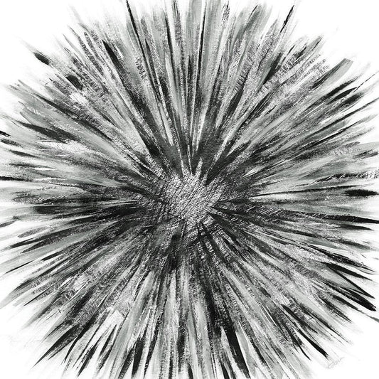 Image Only
