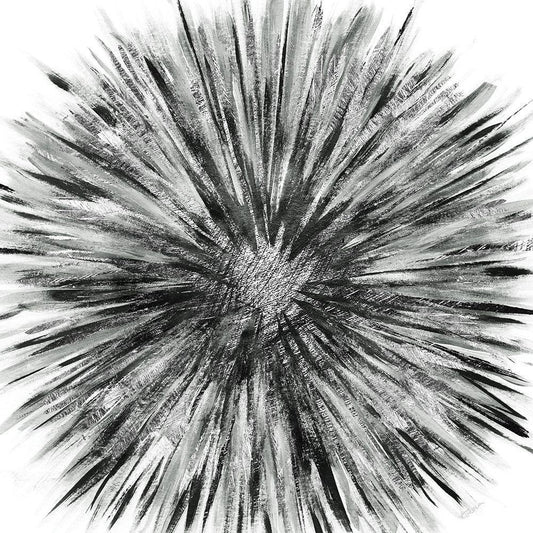 Image Only