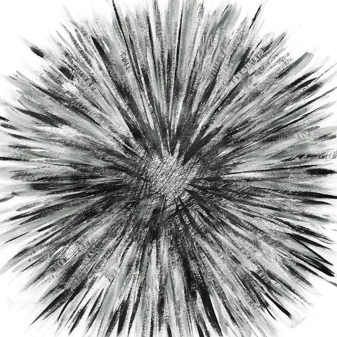 Staccato Bloom Black Modern Wood Framed Art Print with Double Matting by Craven, Katrina