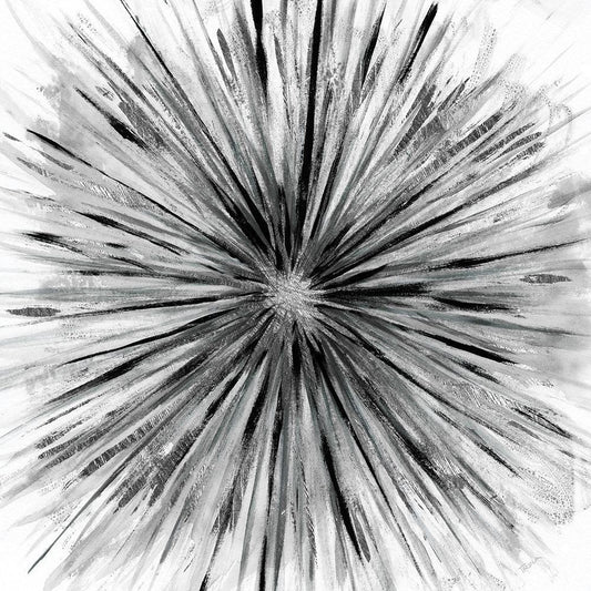 Image Only