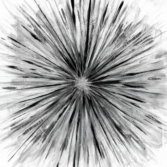 Image Only