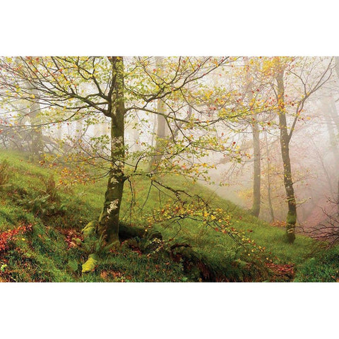 Spring Or Black Modern Wood Framed Art Print by Van de Goor, Lars