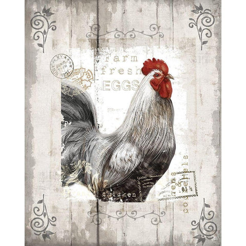 Farm Fresh White Modern Wood Framed Art Print by Knutsen, Conrad