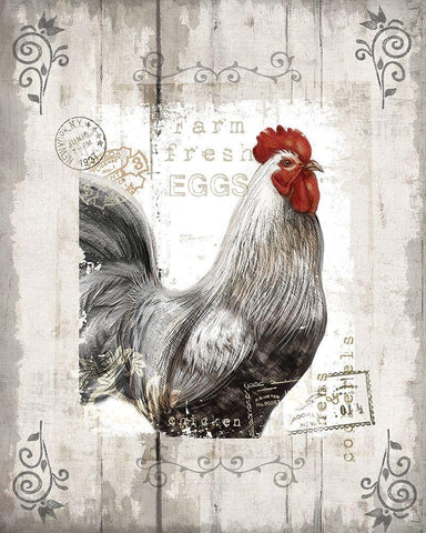 Farm Fresh White Modern Wood Framed Art Print with Double Matting by Knutsen, Conrad