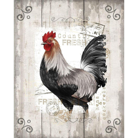 Country Fresh White Modern Wood Framed Art Print by Knutsen, Conrad