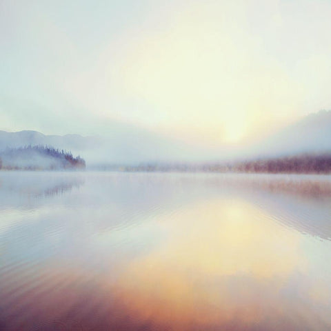 Sunrise Over Beaver Black Ornate Wood Framed Art Print with Double Matting by Delimont, Danita