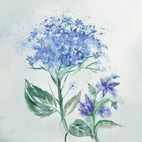 Blue Flower Wash Black Modern Wood Framed Art Print by Knutsen, Conrad