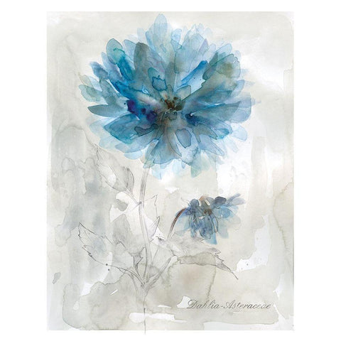 Blue Dahlia White Modern Wood Framed Art Print by Robinson, Carol