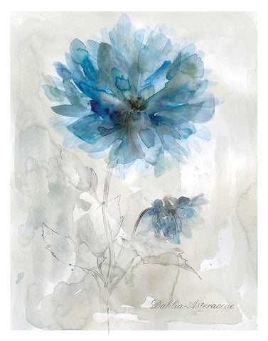 Blue Dahlia White Modern Wood Framed Art Print with Double Matting by Robinson, Carol