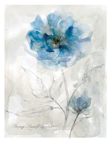 Blue Peony White Modern Wood Framed Art Print with Double Matting by Robinson, Carol