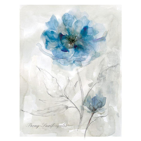 Blue Peony White Modern Wood Framed Art Print by Robinson, Carol