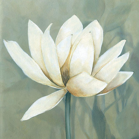 Waterlily I Black Modern Wood Framed Art Print with Double Matting by Robinson, Carol