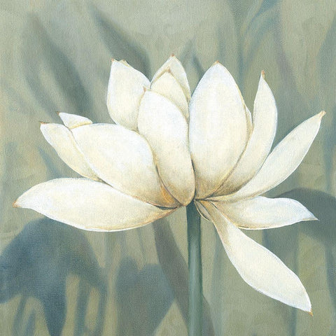 Waterlily II White Modern Wood Framed Art Print by Robinson, Carol