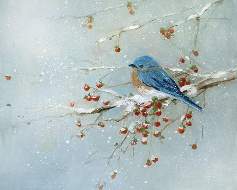 Blue Bird in Winter Black Ornate Wood Framed Art Print with Double Matting by Swatland, Sally