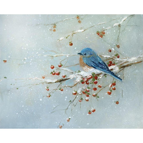 Blue Bird in Winter White Modern Wood Framed Art Print by Swatland, Sally