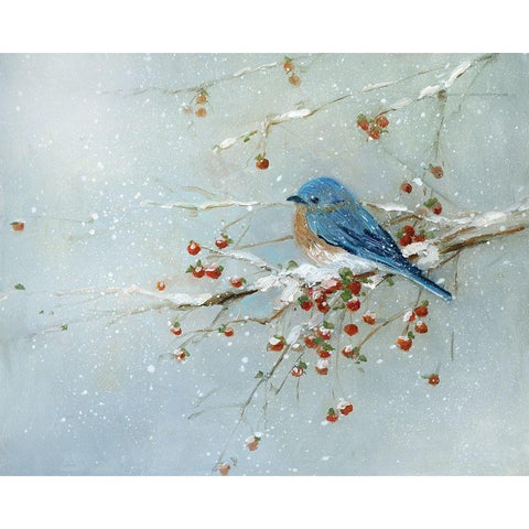 Blue Bird in Winter Black Modern Wood Framed Art Print by Swatland, Sally