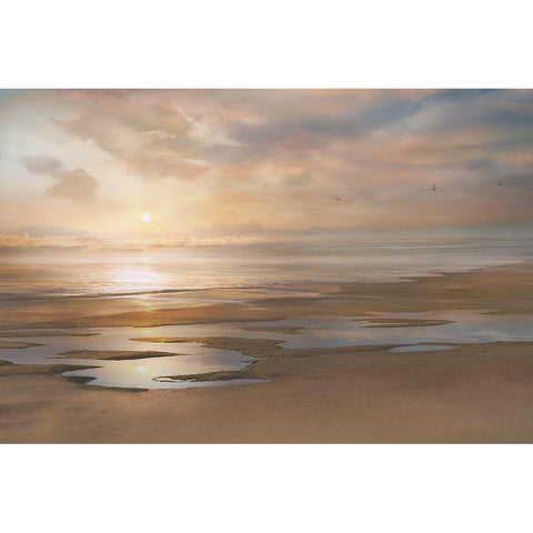 Approaching Gold Ornate Wood Framed Art Print with Double Matting by Calascibetta, Mike