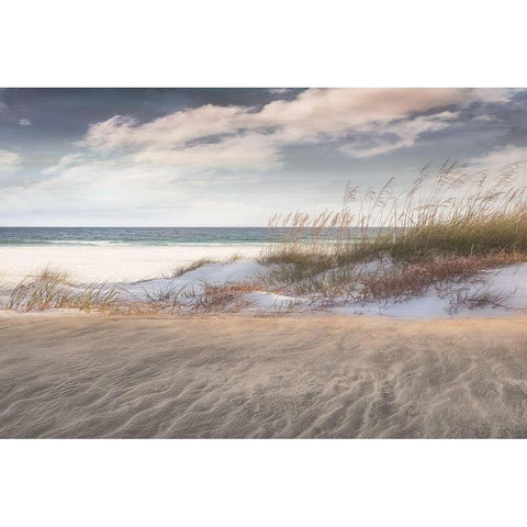 Amongst White Modern Wood Framed Art Print by Calascibetta, Mike