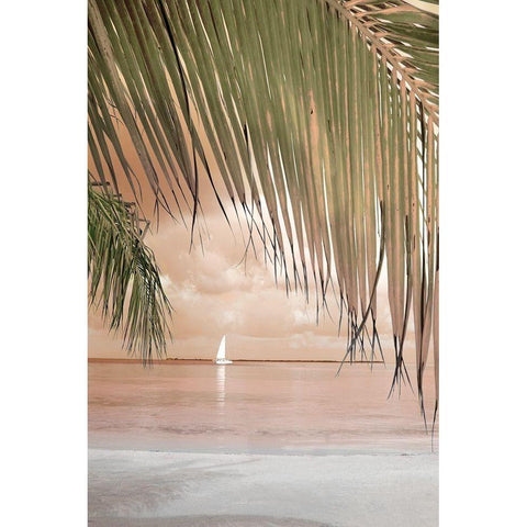 West Coast White Modern Wood Framed Art Print by Delimont, Danita