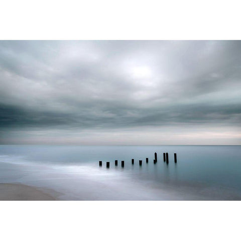 Cape May Black Modern Wood Framed Art Print by Delimont, Danita