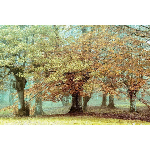 Teal Tree Gold Ornate Wood Framed Art Print with Double Matting by Van de Goor, Lars
