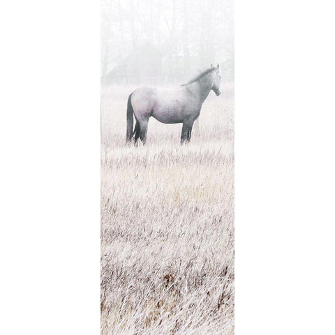 Misty Pasture I Black Modern Wood Framed Art Print with Double Matting by Robinson, Carol