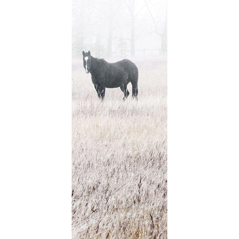 Misty Pasture I Black Modern Wood Framed Art Print with Double Matting by Robinson, Carol