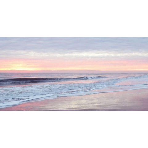 Morning Break Black Modern Wood Framed Art Print with Double Matting by Carpentieri, Natalie