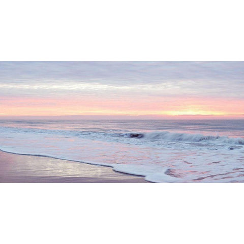 Morning Break Black Modern Wood Framed Art Print with Double Matting by Carpentieri, Natalie