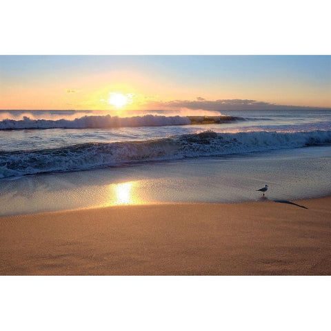 Sunset Black Modern Wood Framed Art Print by Carpentieri, Natalie