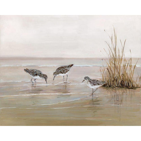 Early Risers II White Modern Wood Framed Art Print by Swatland, Sally